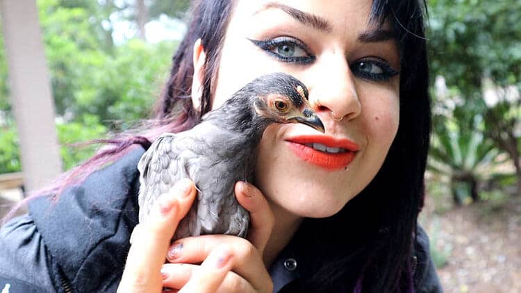 Faye Hadley - Everything You Need To Know - Image chickens hobbies